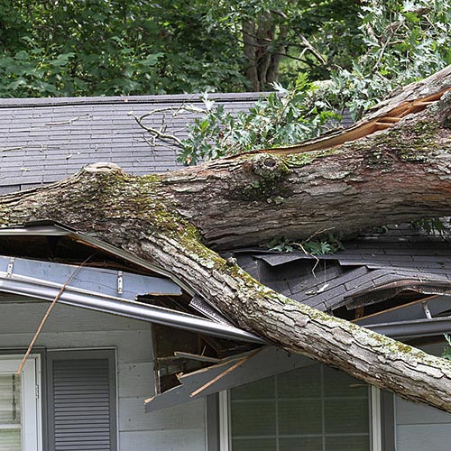 Filing A New Property Damage Claim?